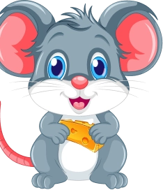 gray cat