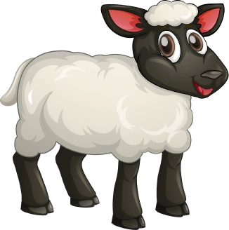 sheep